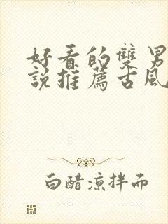 好看的双男主小说推荐古风