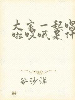 大家一起唱哦吧啦哎哦是什么歌