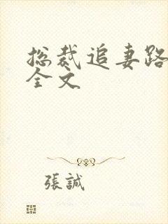 总裁追妻路漫漫全文