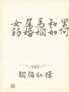 女属马和男属兔的婚姻如何