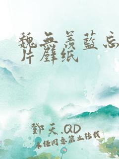 魏无羡蓝忘机图片壁纸