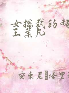 女总裁的超级兵王叶凡