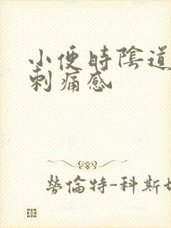 小便时阴道口有刺痛感