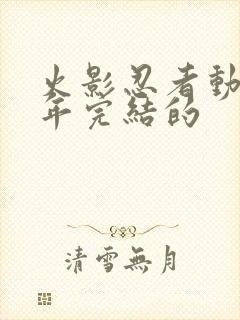 火影忍者动漫哪年完结的