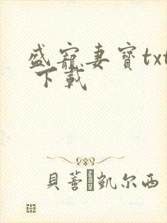 盛宠妻宝txt 下载