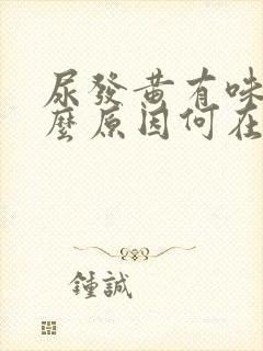 尿发黄有味是什么原因何在