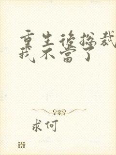 重生后总裁夫人我不当了