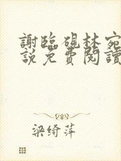 谢临砚林宛月小说免费阅读最新章节