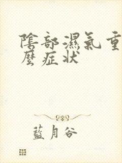 阴部湿气重有什么症状