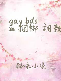 gay bdsm 捆绑 调教 男奴