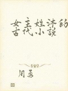 女主姓沐的重生古代小说