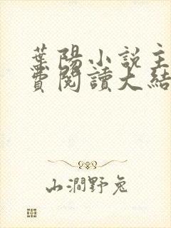 叶阳小说主角免费阅读大结局