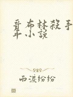 哥布林杀手第一年小说