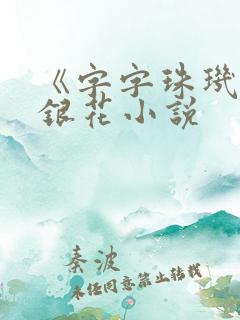 《字字珠玑》金银花小说