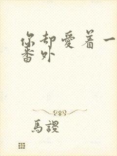 你却爱着一个他番外