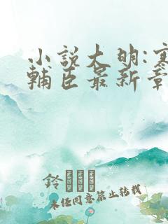 小说大明:寒门辅臣最新章节