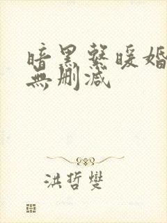 暗黑系暖婚免费无删减