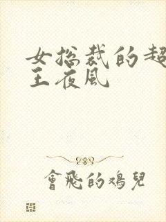 女总裁的超级兵王夜风
