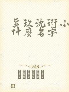 奚玖沈珩小说叫什么名字