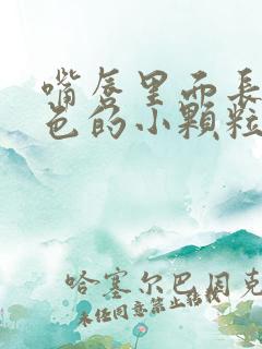 嘴唇里面长了白色的小颗粒