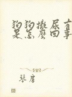 狗狗撒尿有点黄是怎么回事