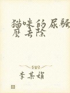 猫咪的尿骚味怎么去除