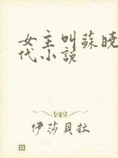 女主叫苏晓的现代小说