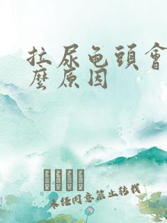 拉尿龟头会痛什么原因