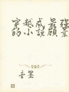 穿越成最强律师的小说顾晨