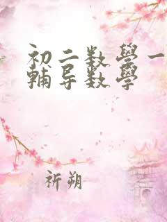 初二数学一对一辅导数学