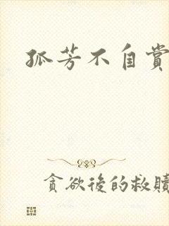 孤芳不自赏小说