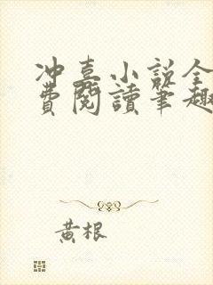 冲喜小说全文免费阅读笔趣阁