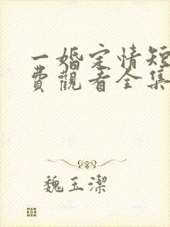 一婚定情短剧免费观看全集