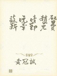 苏晚晴赵启明最新章节免费阅读