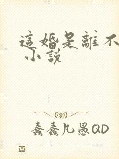 这婚是离不了了 小说