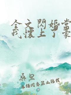 全文闪婚当天,我怀上了豪门继承人