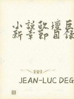 小说政坛巨星最新章节目录