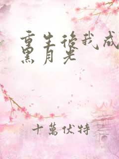 重生后我成奸臣黑月光