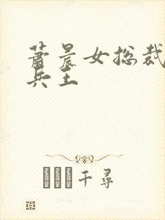 萧晨女总裁全能兵王