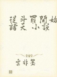 从斗罗开始核平诸天 小说