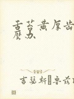 舌苔黄厚齿痕怎么办