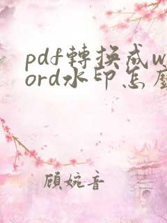 pdf转换成word水印怎么去掉