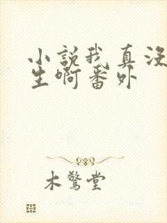 小说我真没想重生啊番外