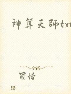 神算天师txt