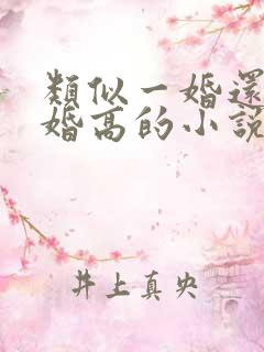 类似一婚还比一婚高的小说高干文