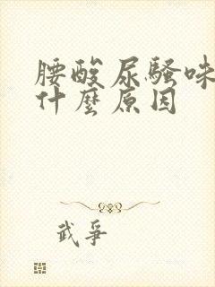 腰酸尿骚味重是什么原因