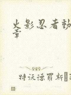 火影忍者动画篇章