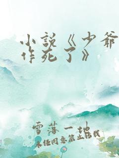 小说《少爷又在作死了》