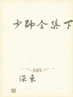 少帅全集下载