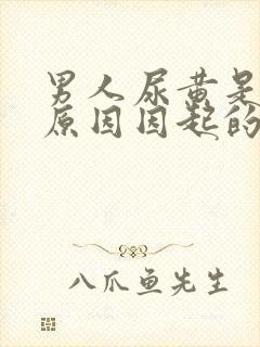 男人尿黄是什么原因因起的